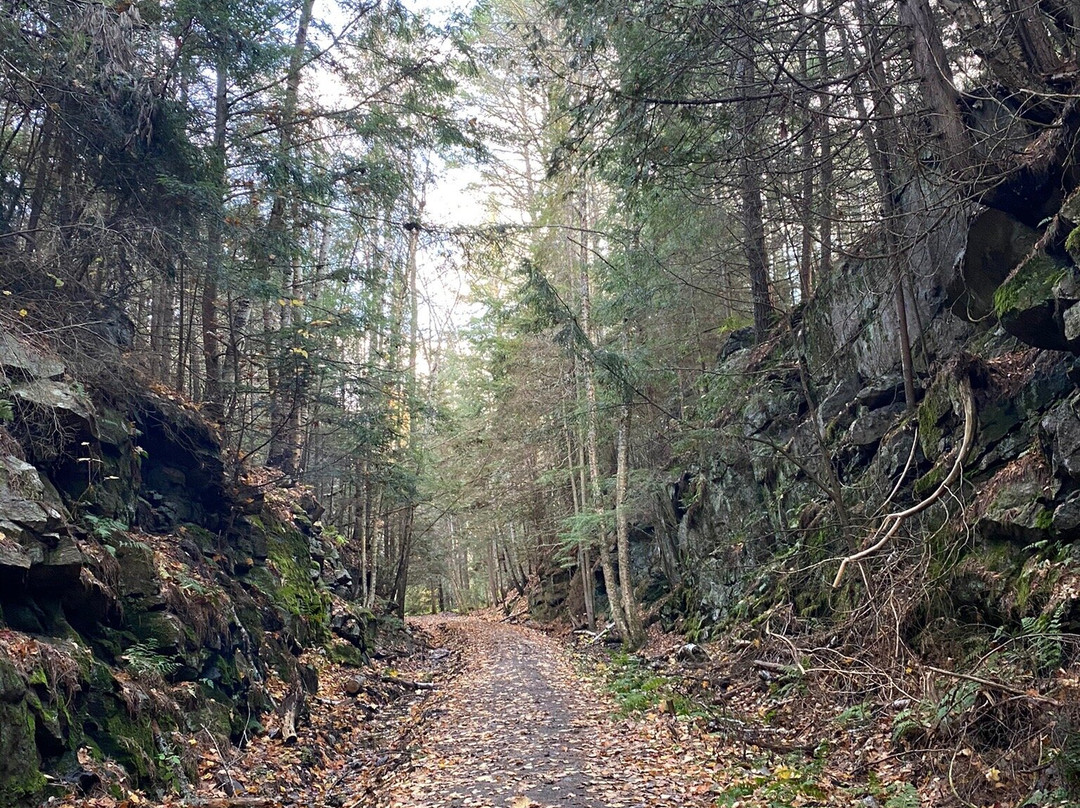 Booth's Rock Trail景点图片