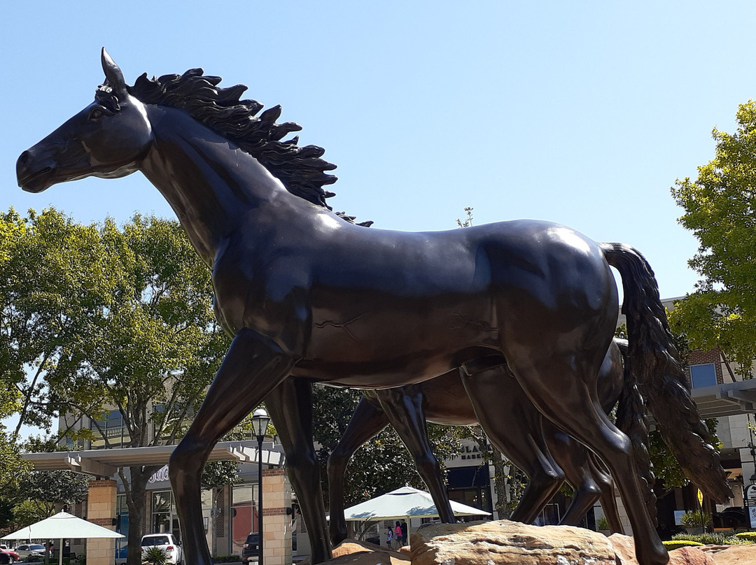 LaCenterra at Cinco Ranch-卡蒂必去景点