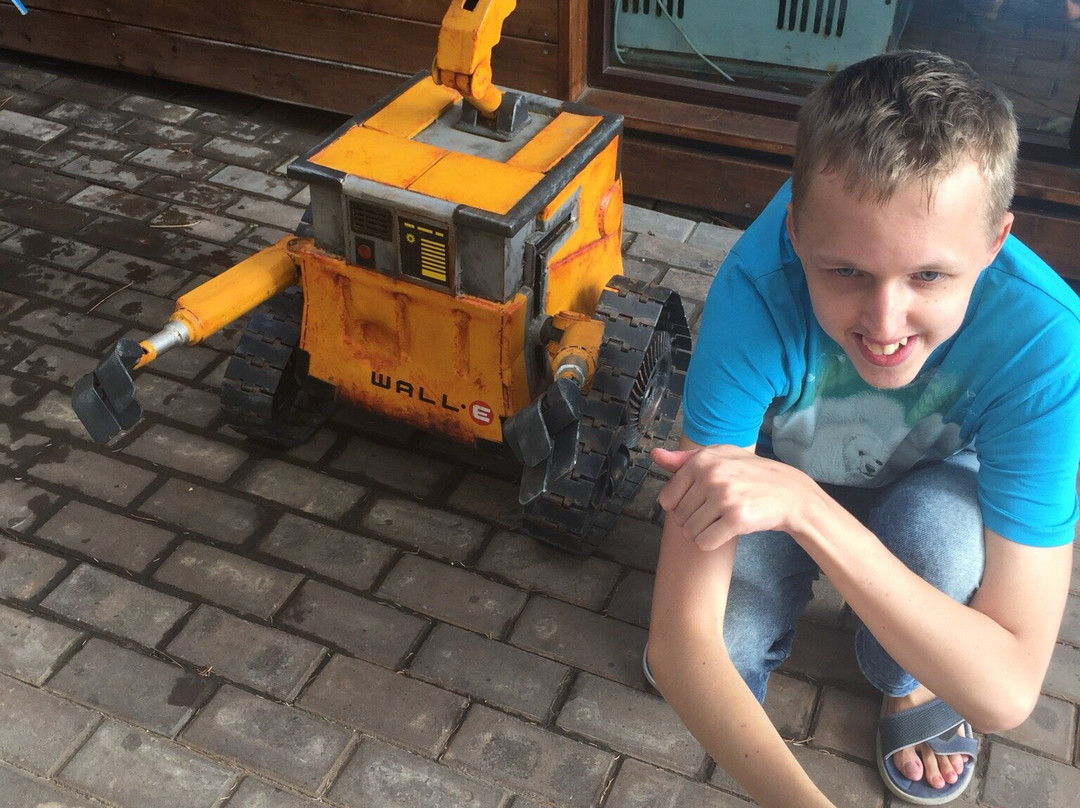 Museum of Automotive Art-雅尔达必去景点