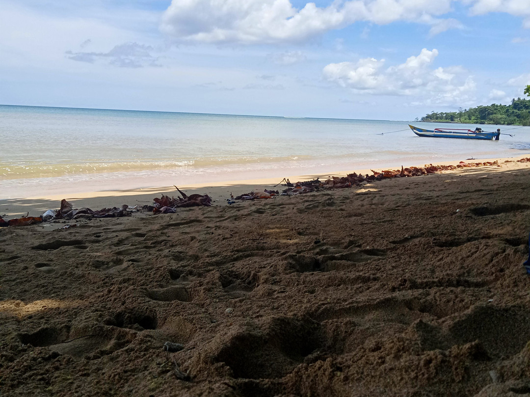 Tanjung Kasuari Beach景点图片