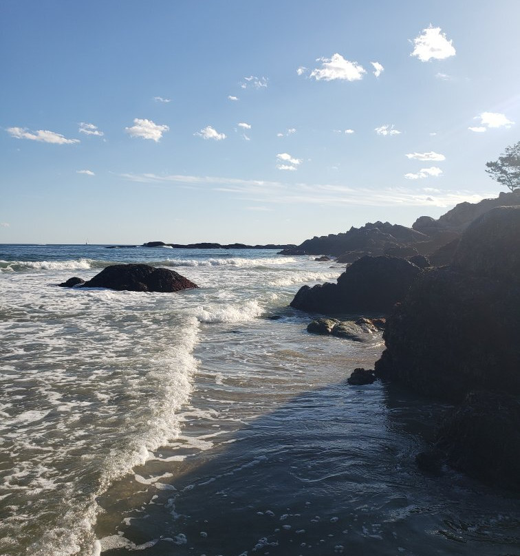 Singing Beach景点图片