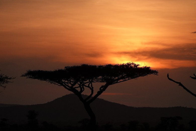 Arusha Fortes Limited-阿鲁沙必去景点