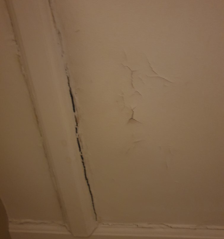 The Globe Hotel主图