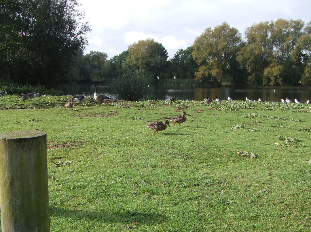Nene Park景点图片