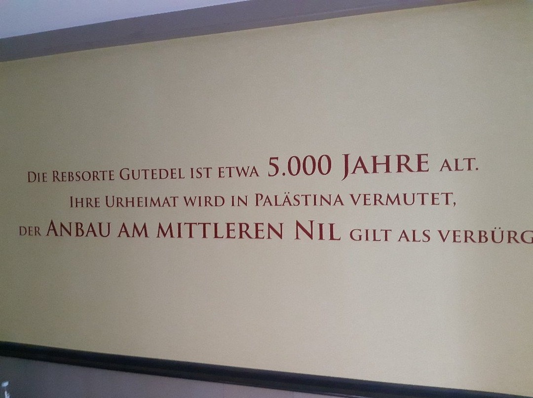 Weinberghotel Edelacker主图