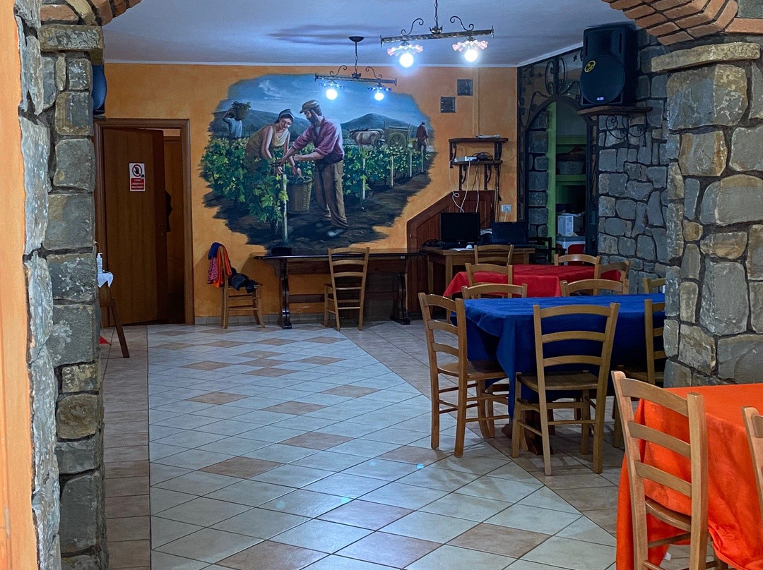 Agriturismo Le Vigne Ducali主图