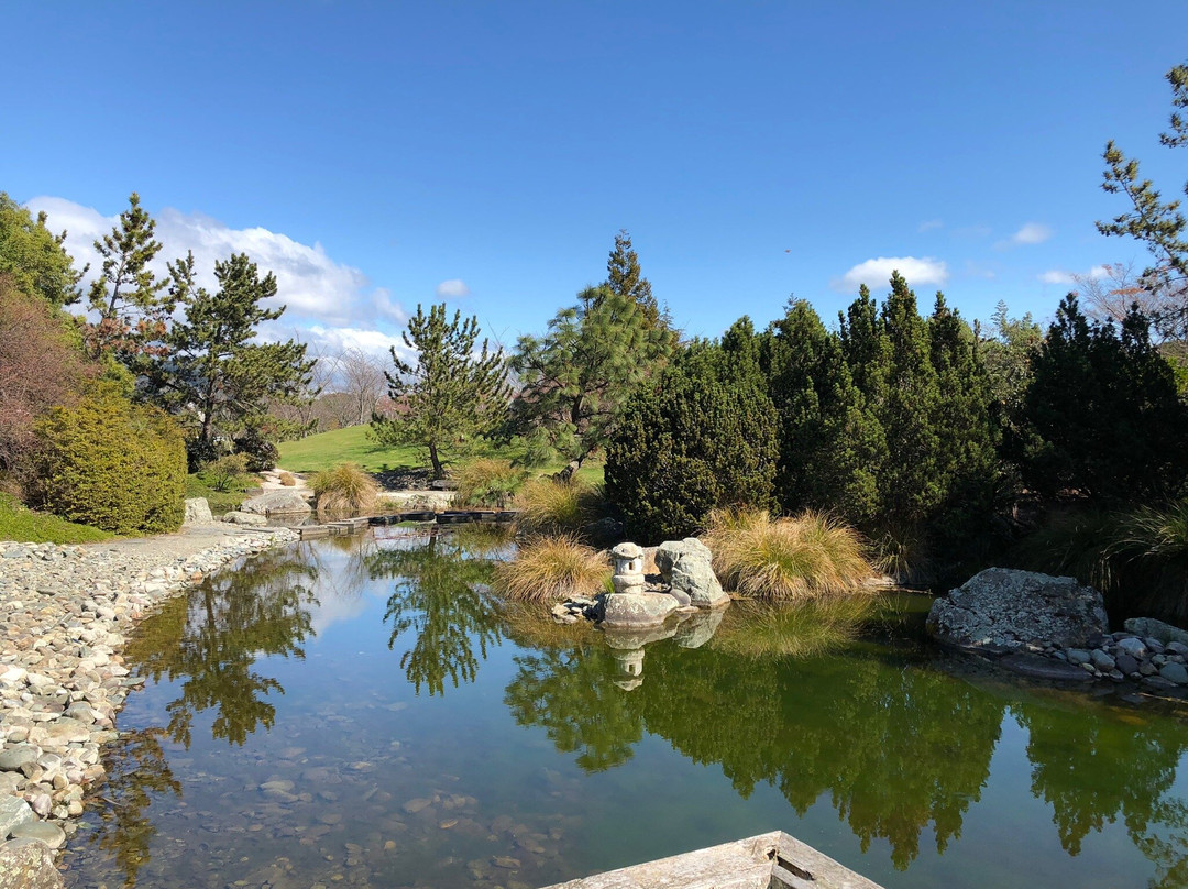 Miyazu Japanese Garden-尼尔森必去景点