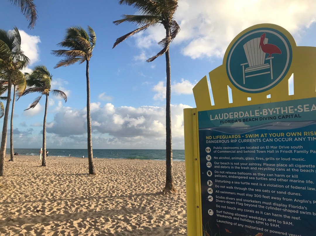 Driftwood Beach Club主图