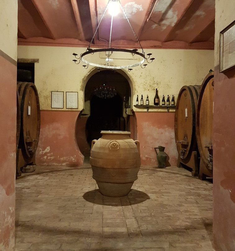 Gusto Wine Tours景点图片