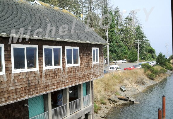 Charleston Marine Life Center-Charleston必去景点