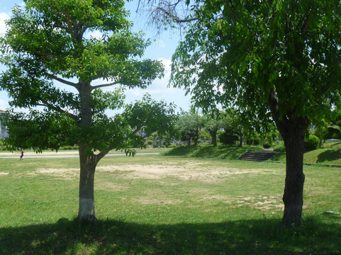 Nagoyama Reien Busharito-姬路市必去景点