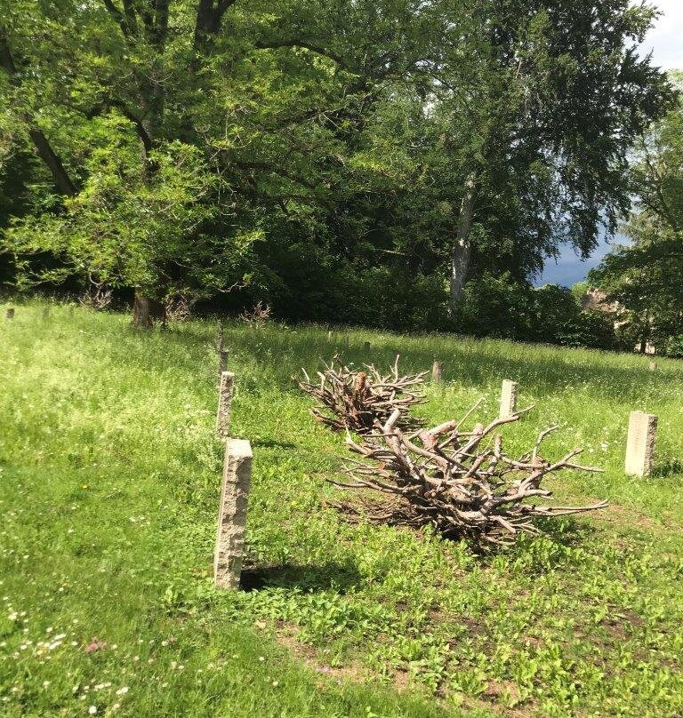 Soviet Army Cemetery-魏玛必去景点