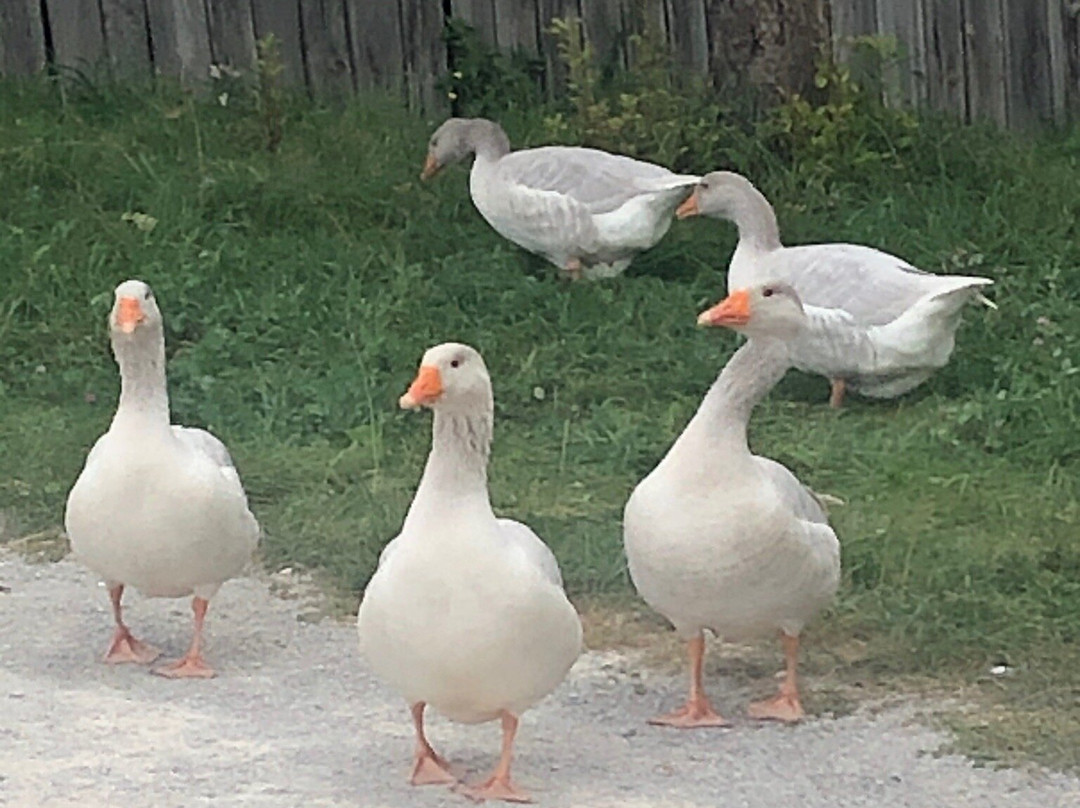 Hotel Am Kurpark Spath主图