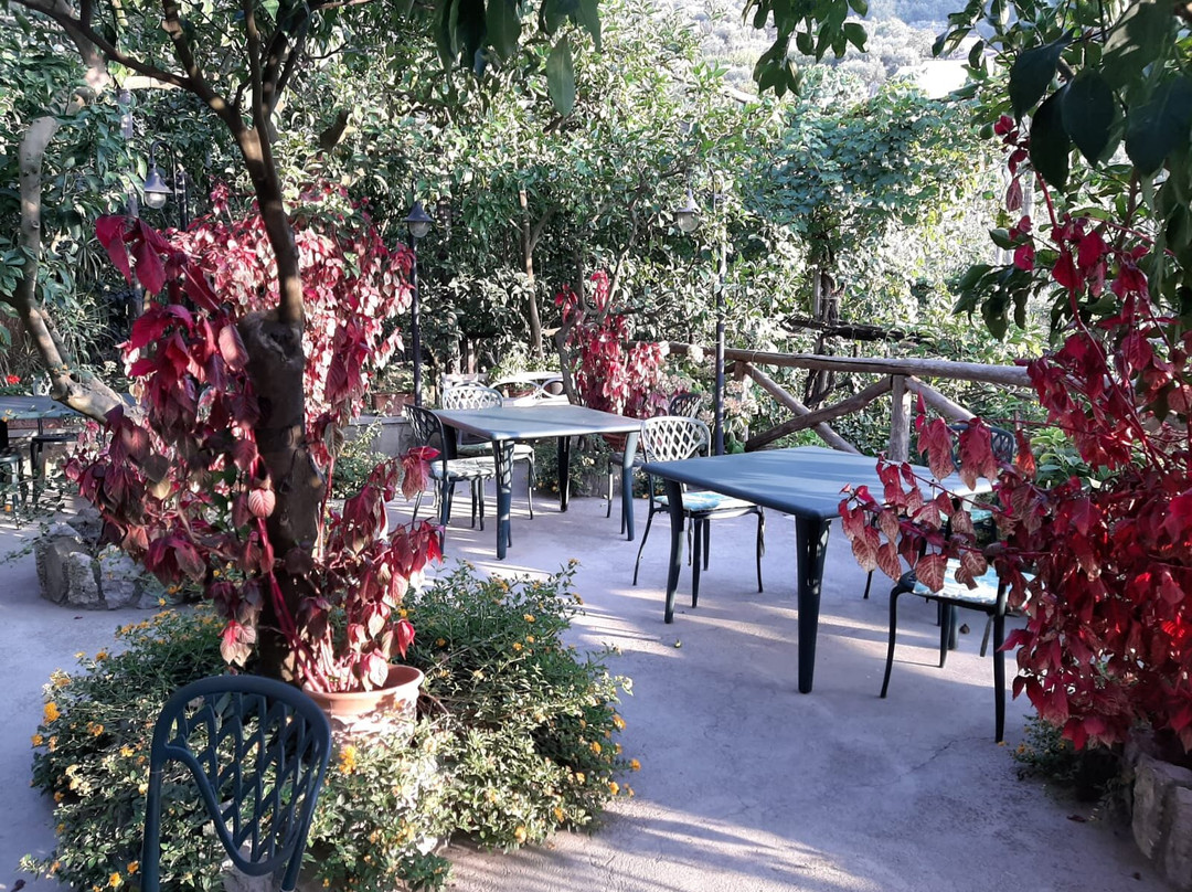 Agriturismo La Lobra主图