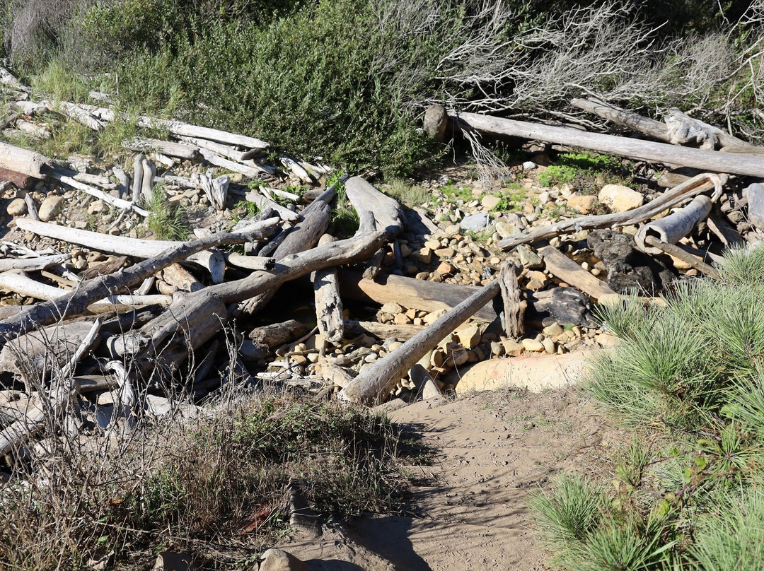 Schooner Gulch State Beach景点图片