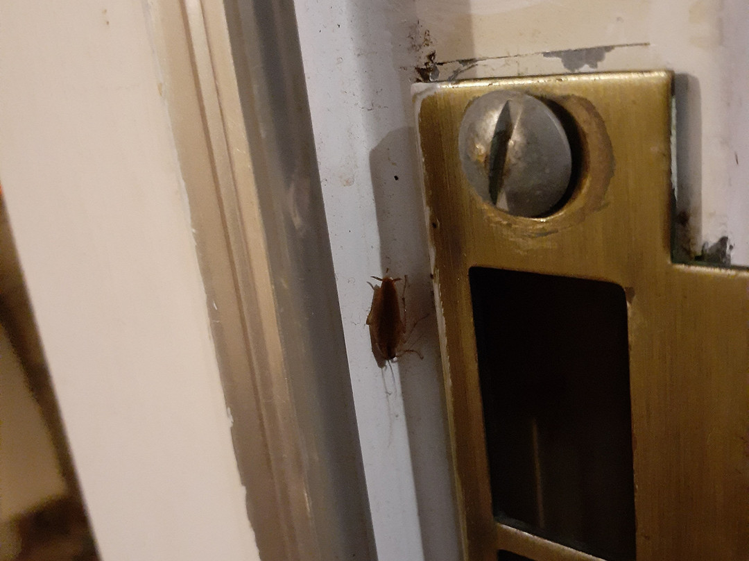 GuestHouse Inn Fort Smith主图