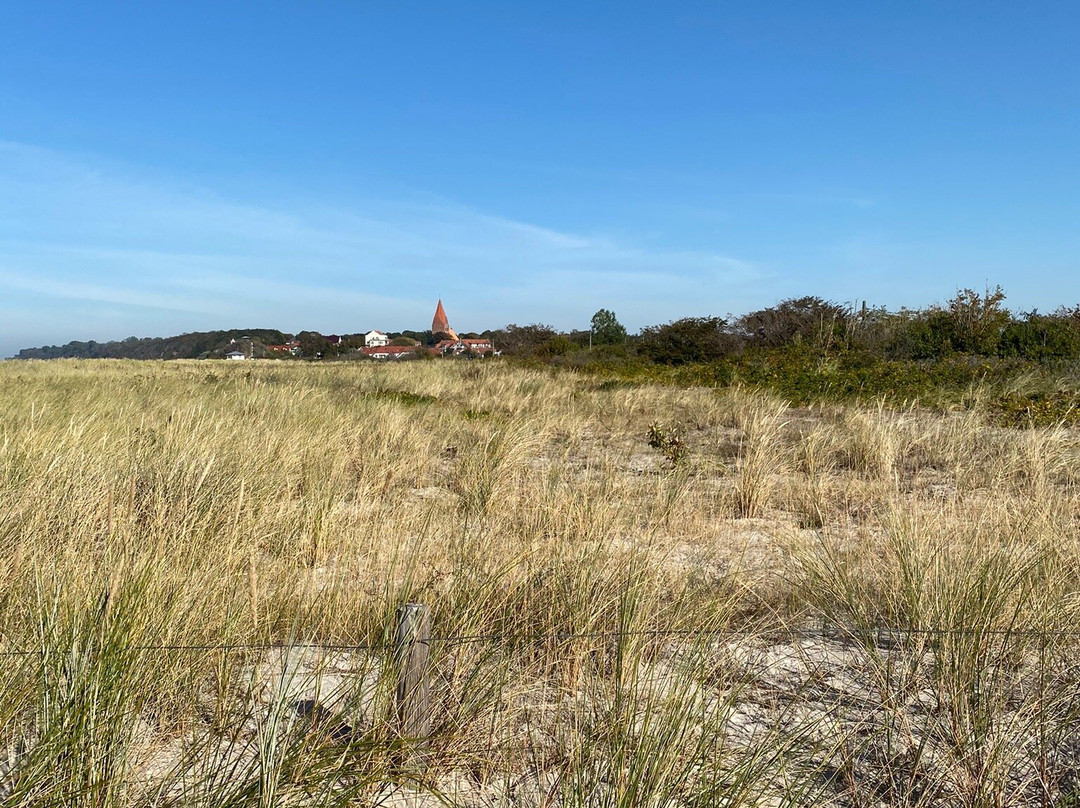 Ostsee-Strand Von Rerik景点图片