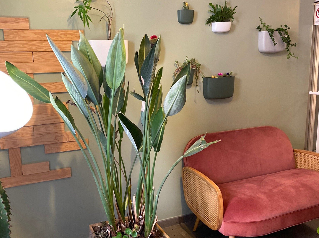 Hôtel du Palais主图