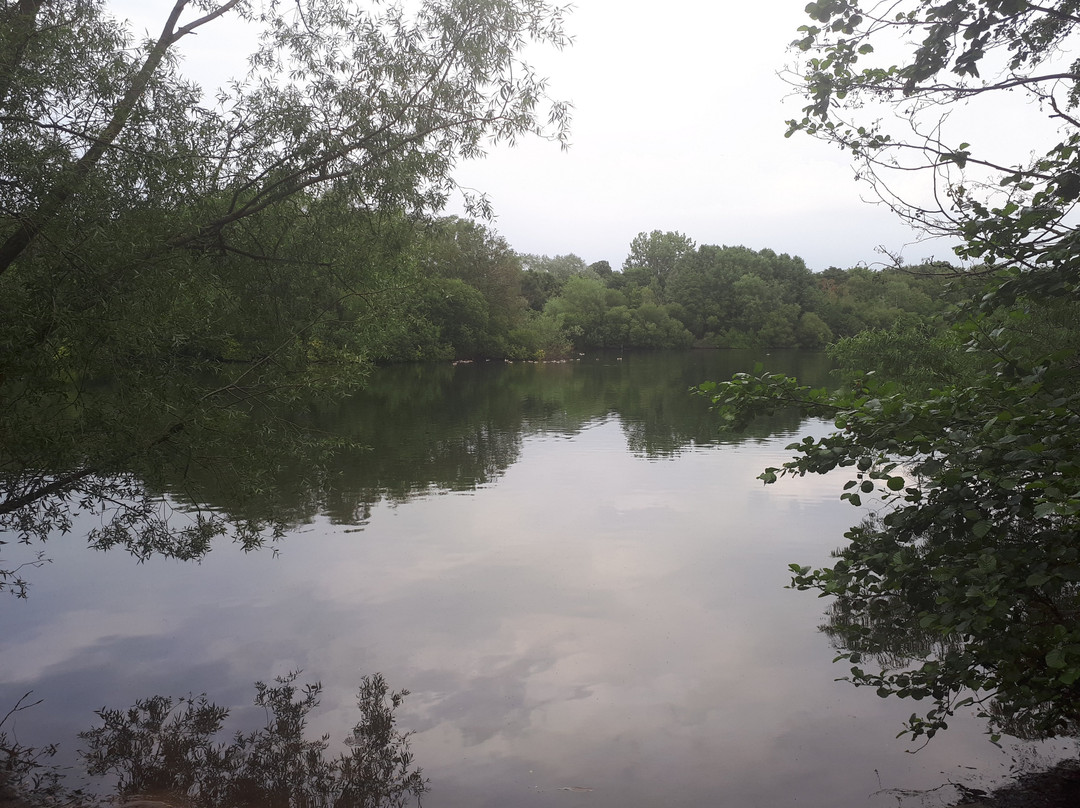 Chorlton Water Park-曼彻斯特必去景点