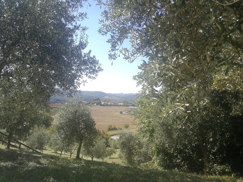 Agriturismo Val Della Pieve主图