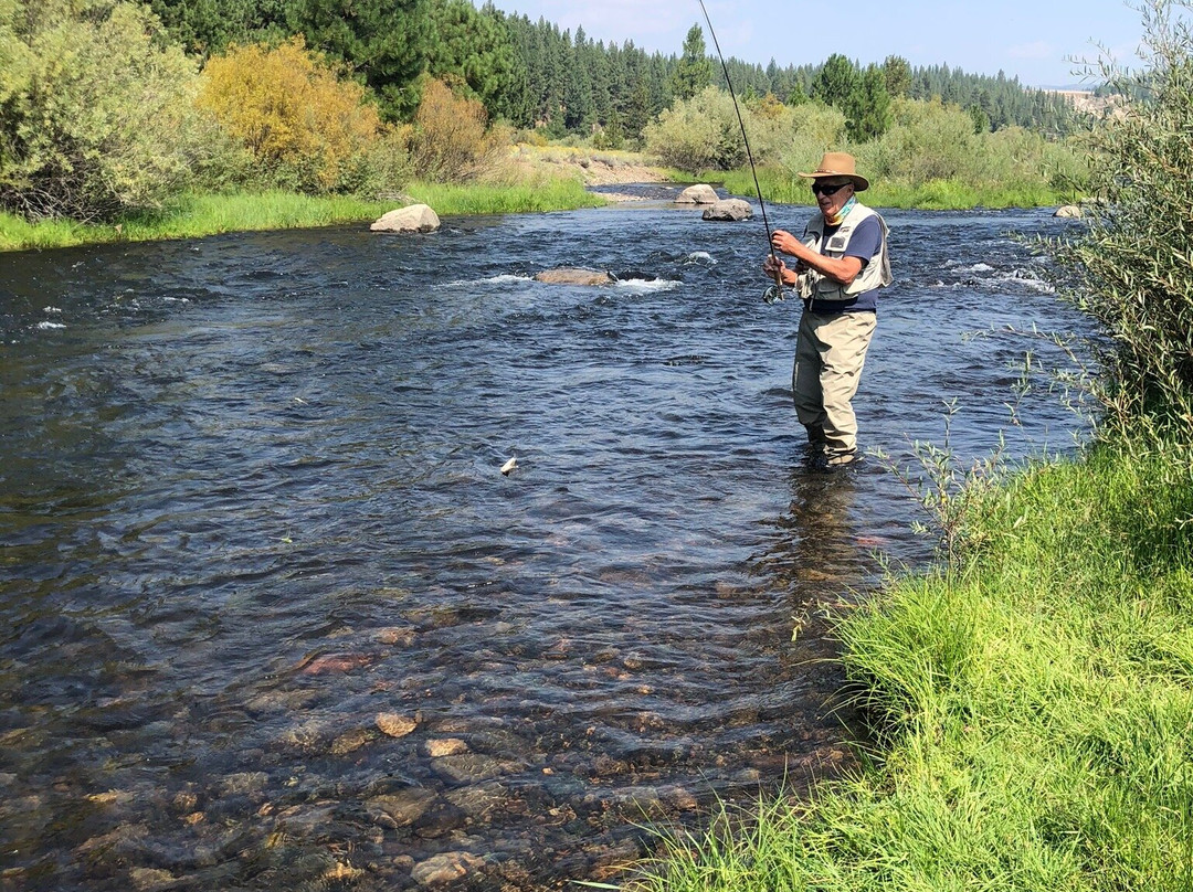 Little Truckee River景点图片