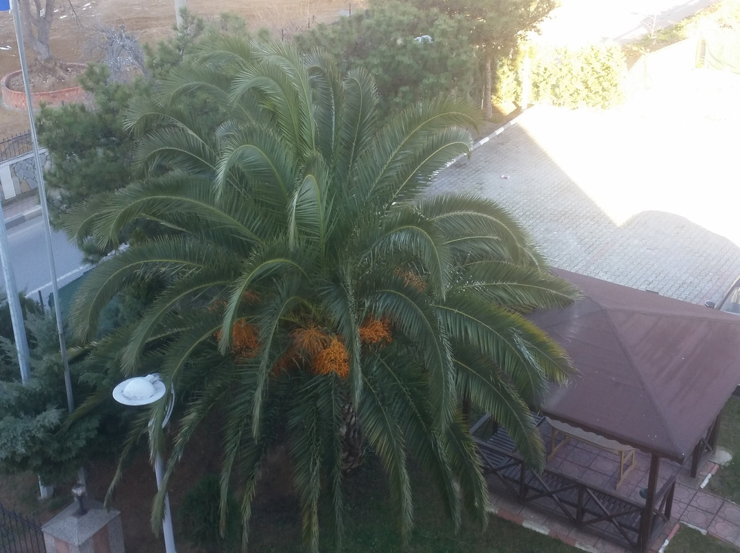 Yelkenkaya Hotel主图