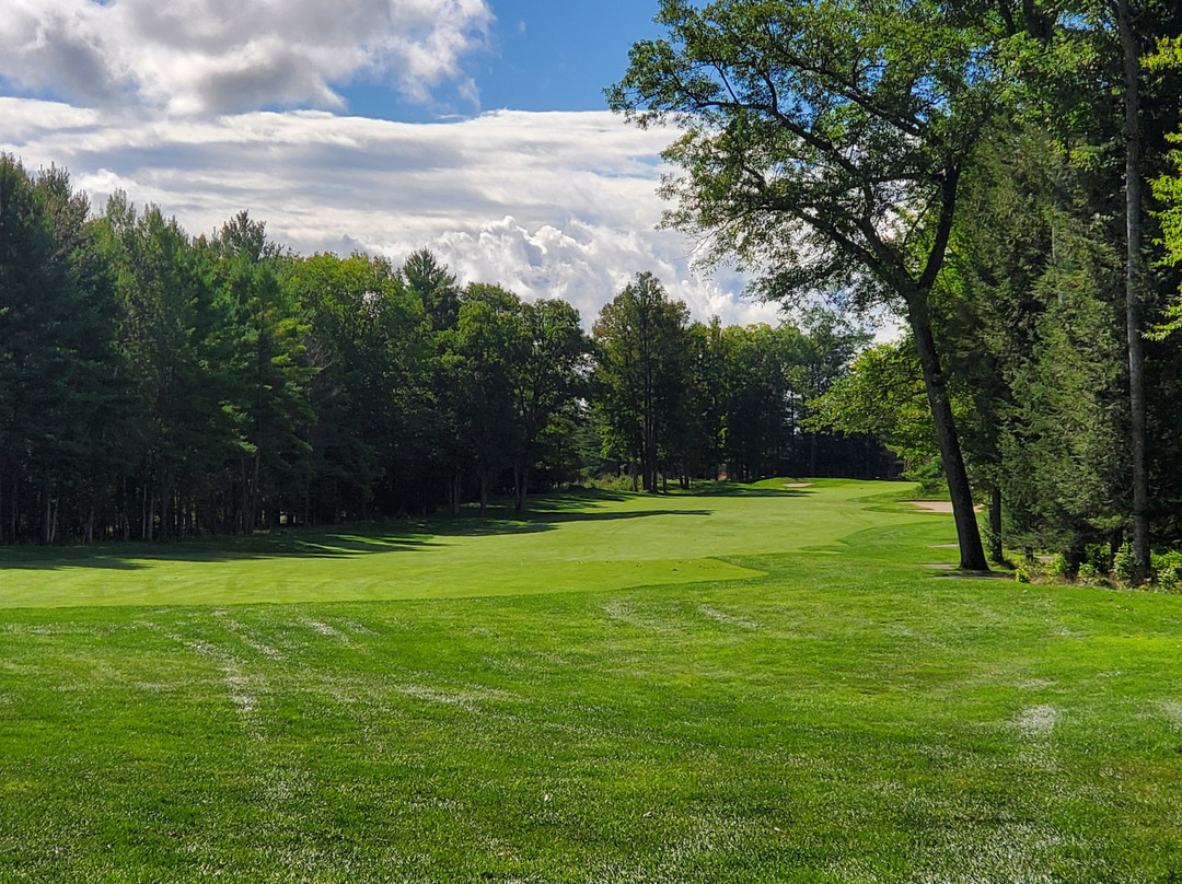 Black Lake Golf Club景点图片