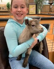 Sustainable Safari-Maplewood必去景点