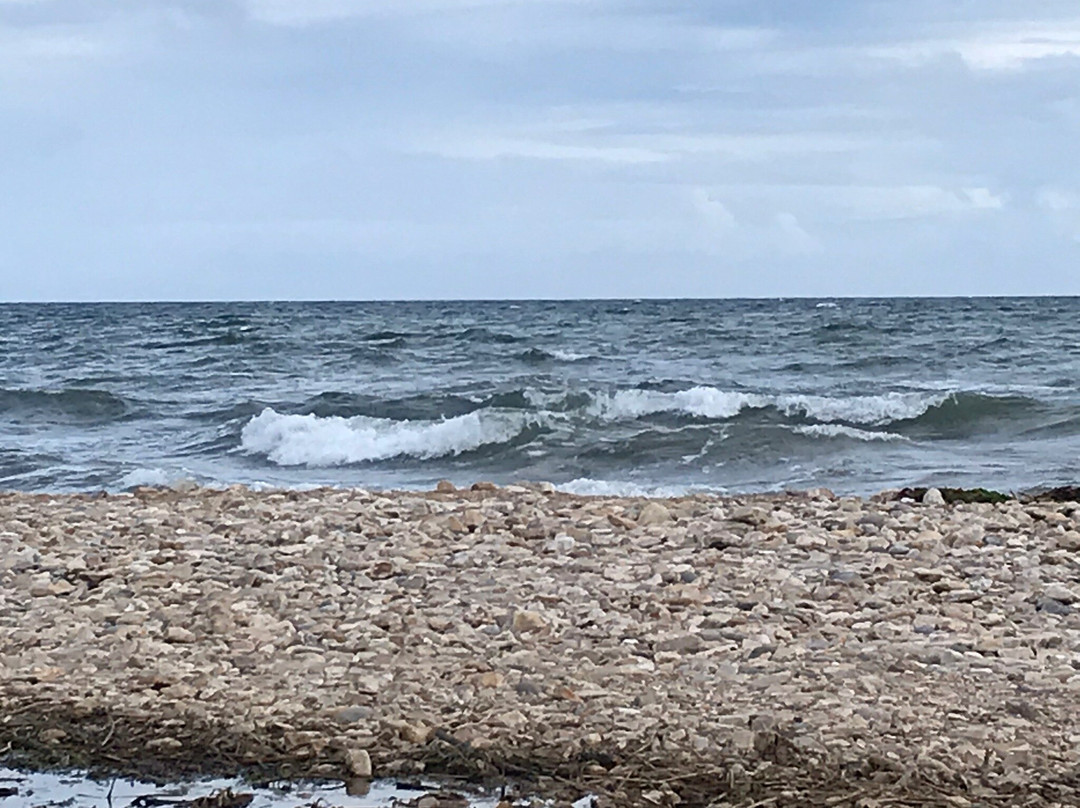 Charmouth Beach景点图片