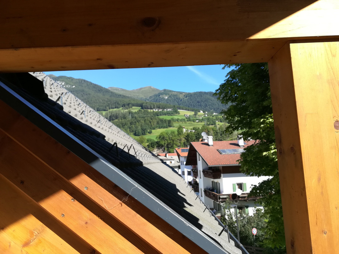 阿尔平戈珍酒店主图