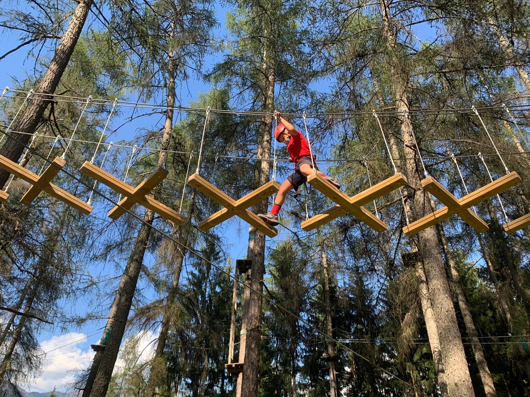 Adventure Dolomiti , Parco Avventura - Molina Di Fiemme)-Castello-Molina di Fiemme必去景点