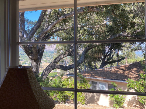 Ojai Retreat & Inn主图