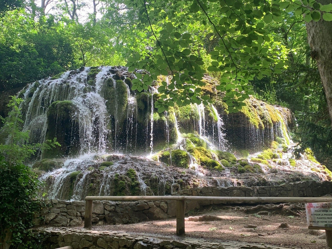 Parc de Saint-Pons景点图片