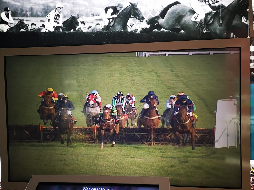 Fethard Horse Country Experience-Fethard必去景点
