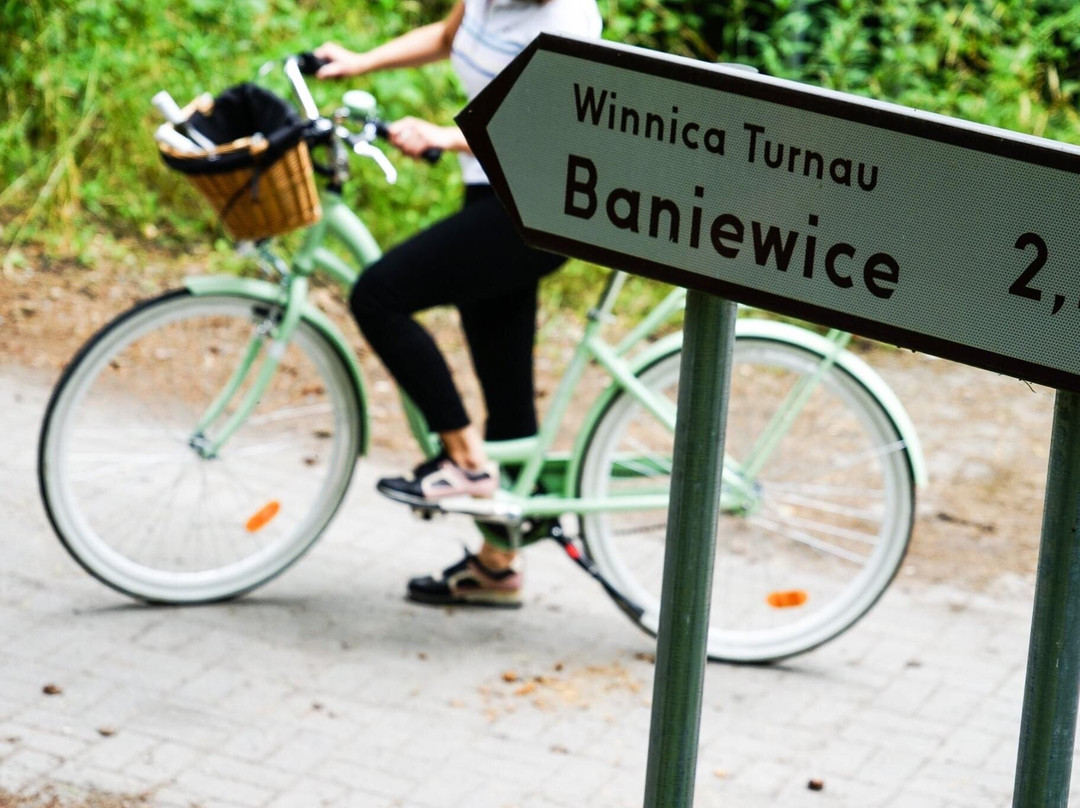 Winnica Turnau景点图片