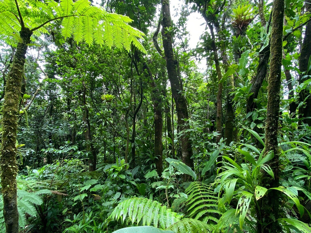 Chute du Galion-Saint-Claude必去景点