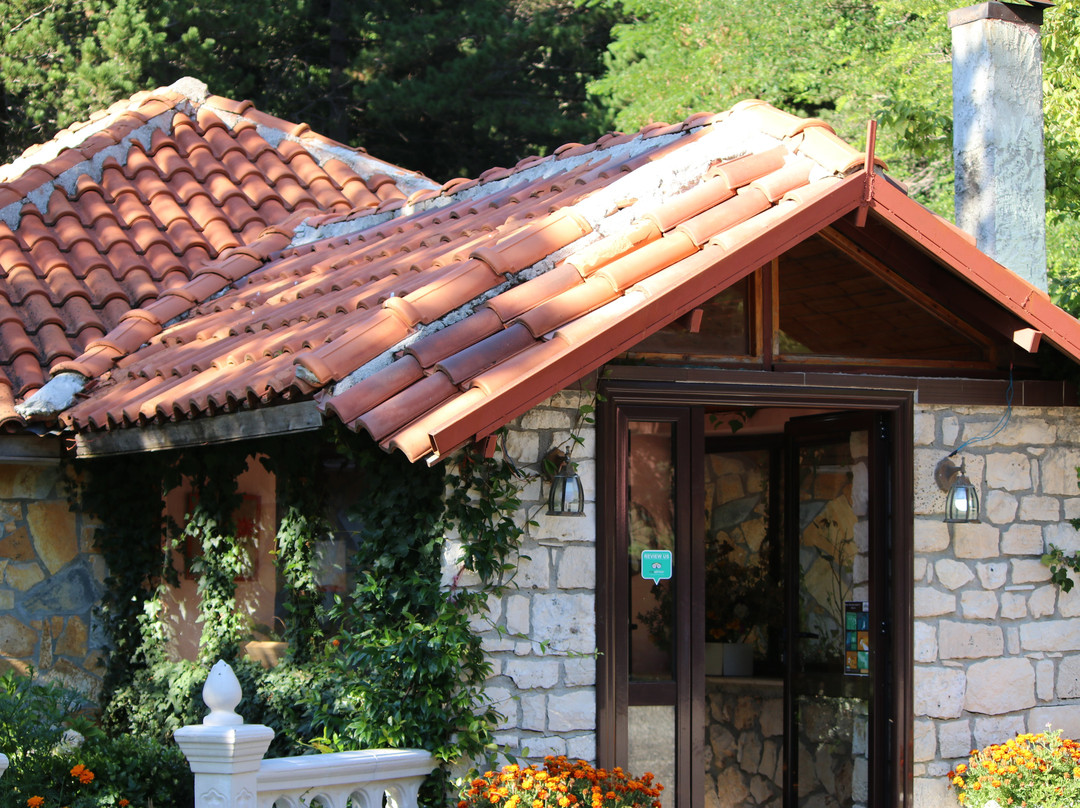 Andoni Hotel Restorant
