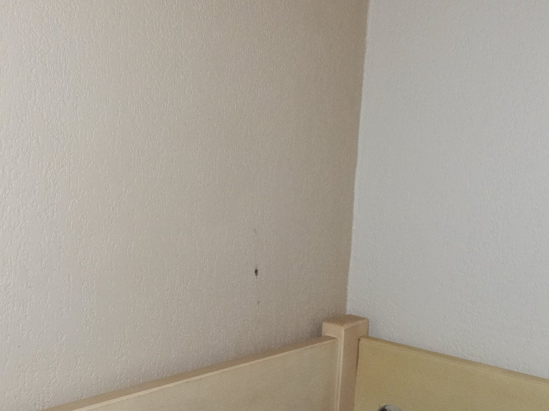 Pierre & Vacances Residence Les Terrasses d'Arcangues主图