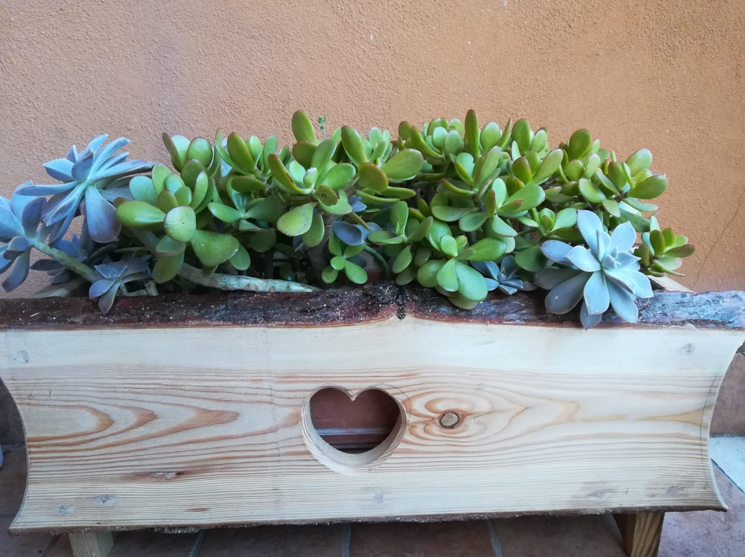 Locanda Da Pierina主图