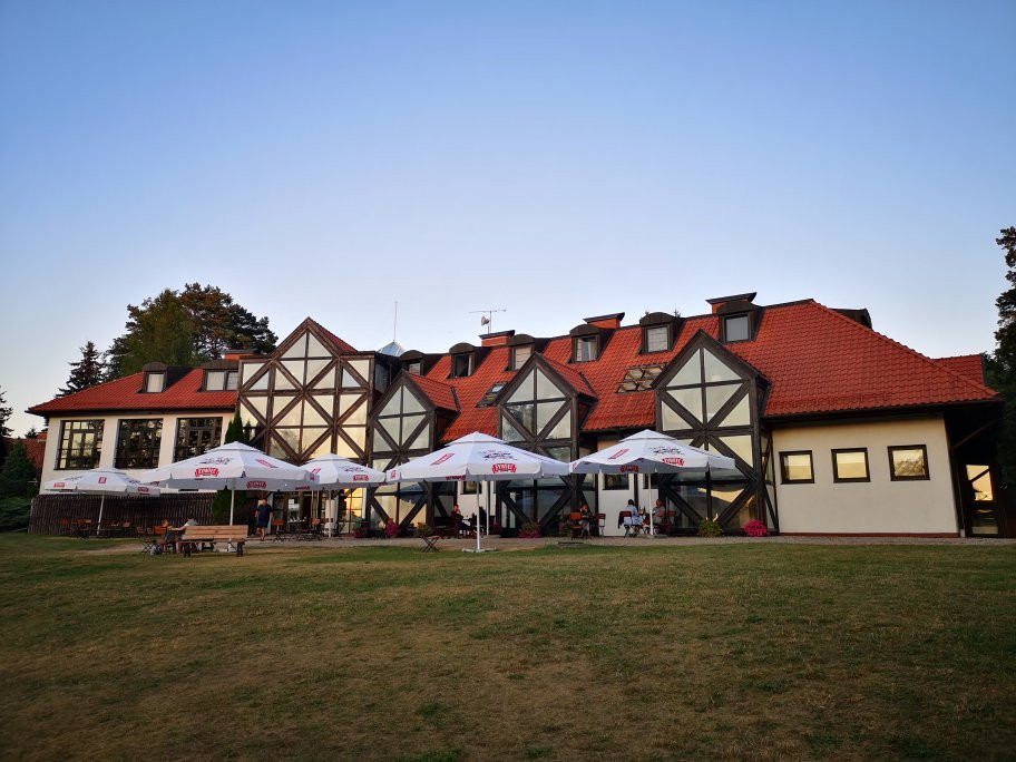 Wierzba