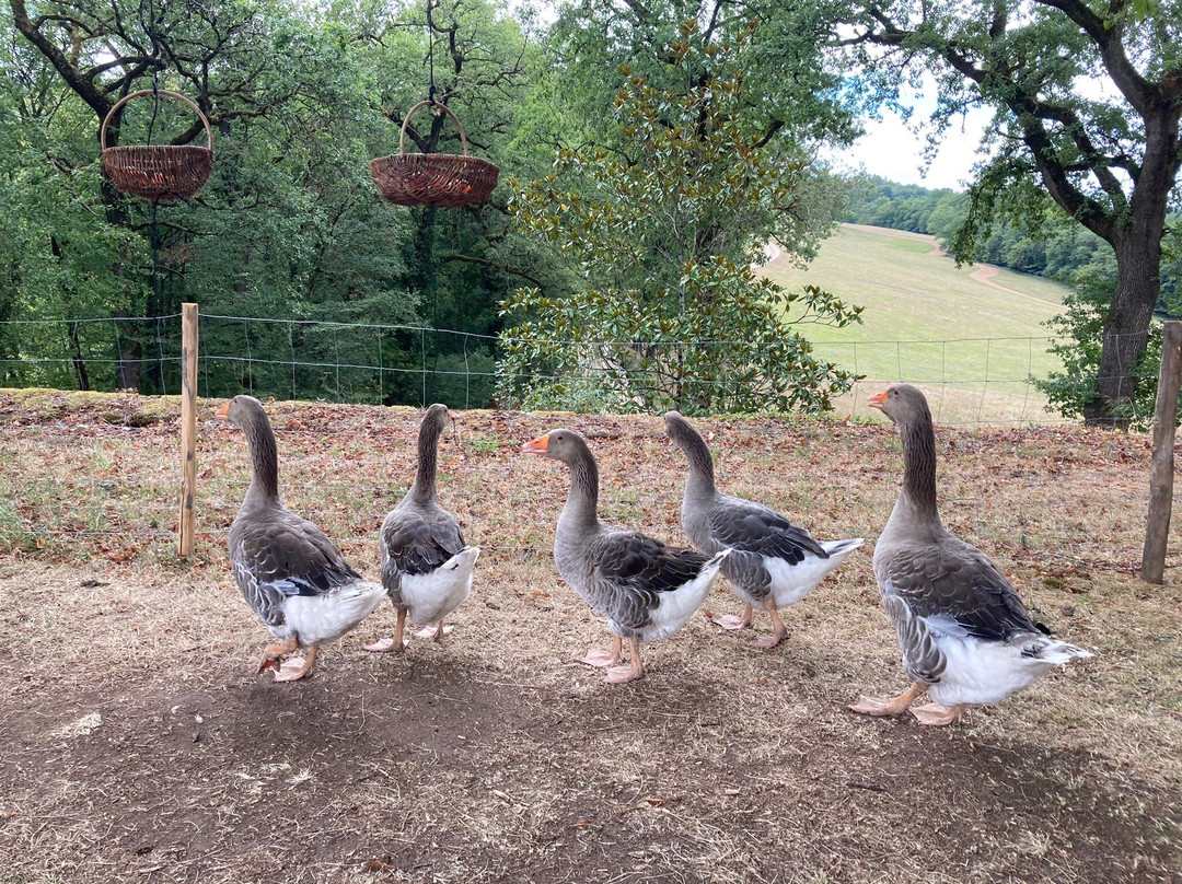 Chateau de Marsac主图