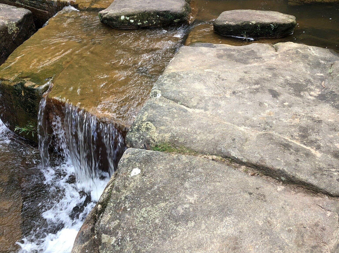 Kellys Falls Track-海伦斯堡必去景点