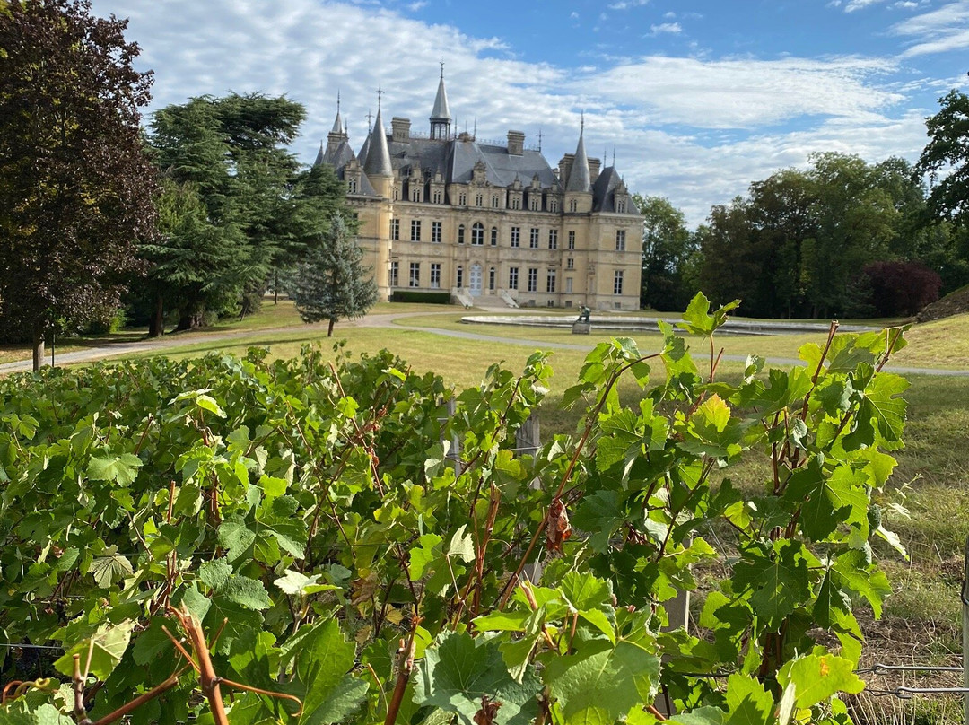 Champagne Chateau de Boursault景点图片