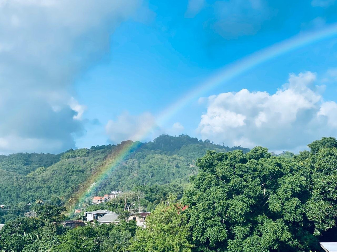 Tobago Mountain Bike Tours-多巴哥必去景点