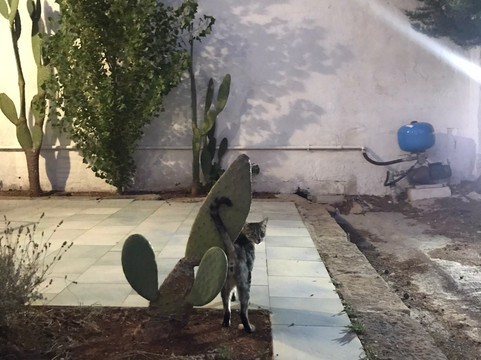 B&B Villa Marciante主图