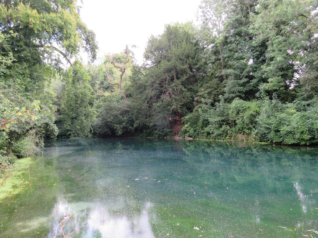 Silent Pool景点图片