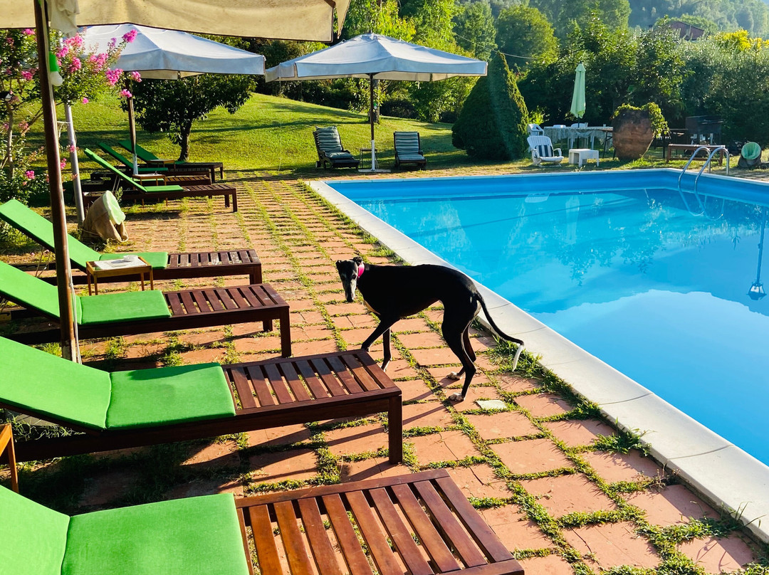 B&B Villa il Noce主图