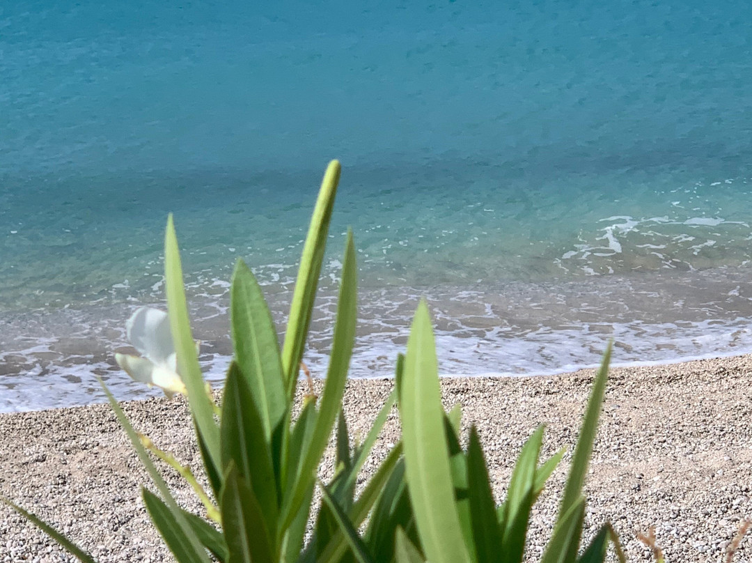 Christina Studios主图