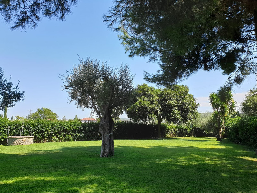 Tenuta Santa Caterina主图