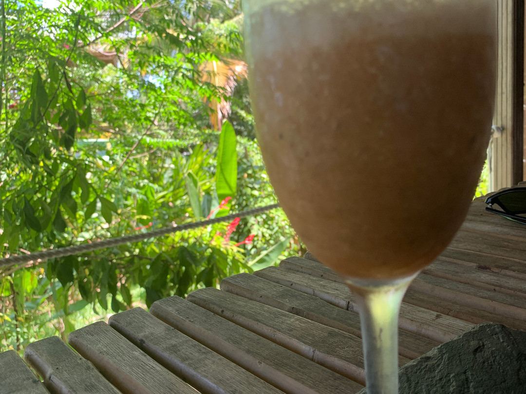 Eden Paradise Spa Ecolodge主图